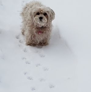 Meet your Posher, Robin
